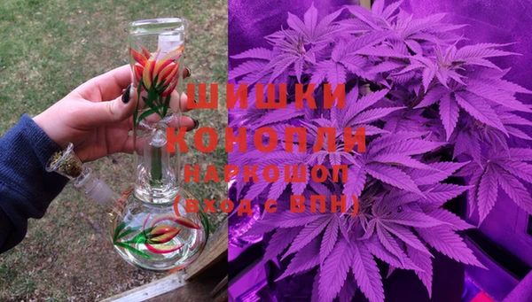 индика Балабаново
