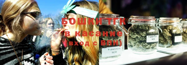 индика Балабаново