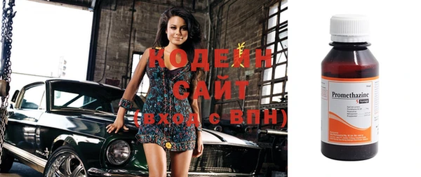 индика Балабаново