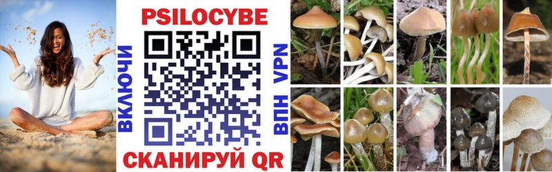 наркошоп  Усть-Джегута  Галлюциногенные грибы мицелий 