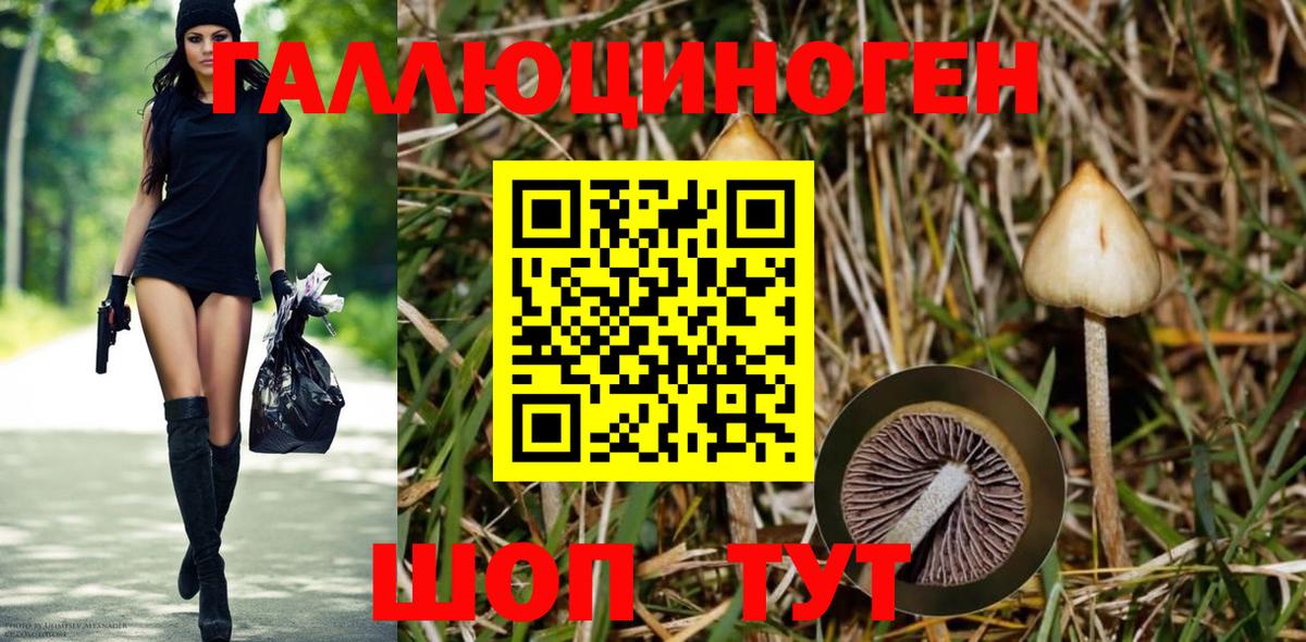 Усть-Джегута  Галлюциногенные грибы мухоморы  Вход с VPN  Галлюциногенные грибы GOLDEN TEACHER 