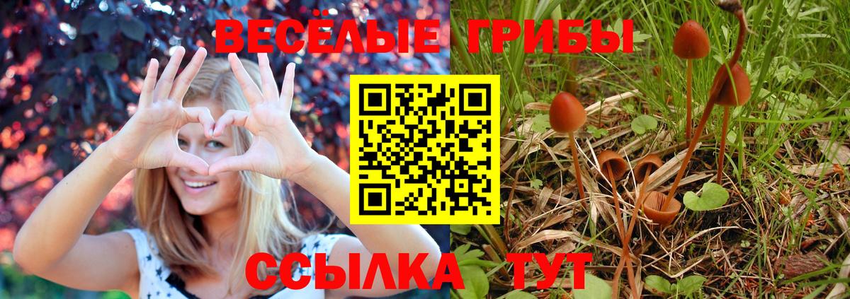 Псилоцибиновые грибы GOLDEN TEACHER Усть-Джегута